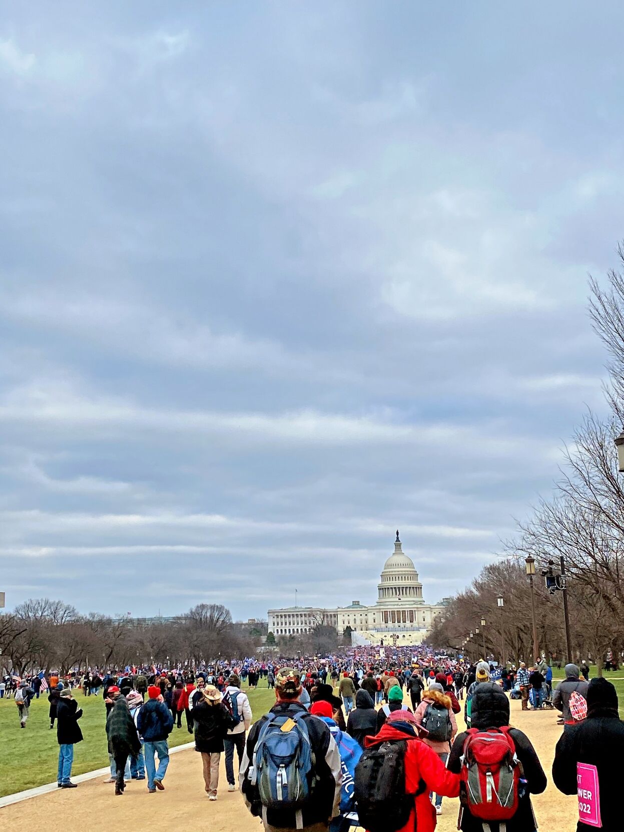 Sheldon couple witness chaos at Capitol